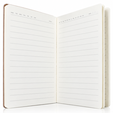 The Mini Notes Notebook