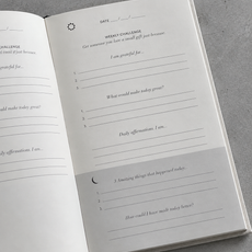The Gratitude Journal