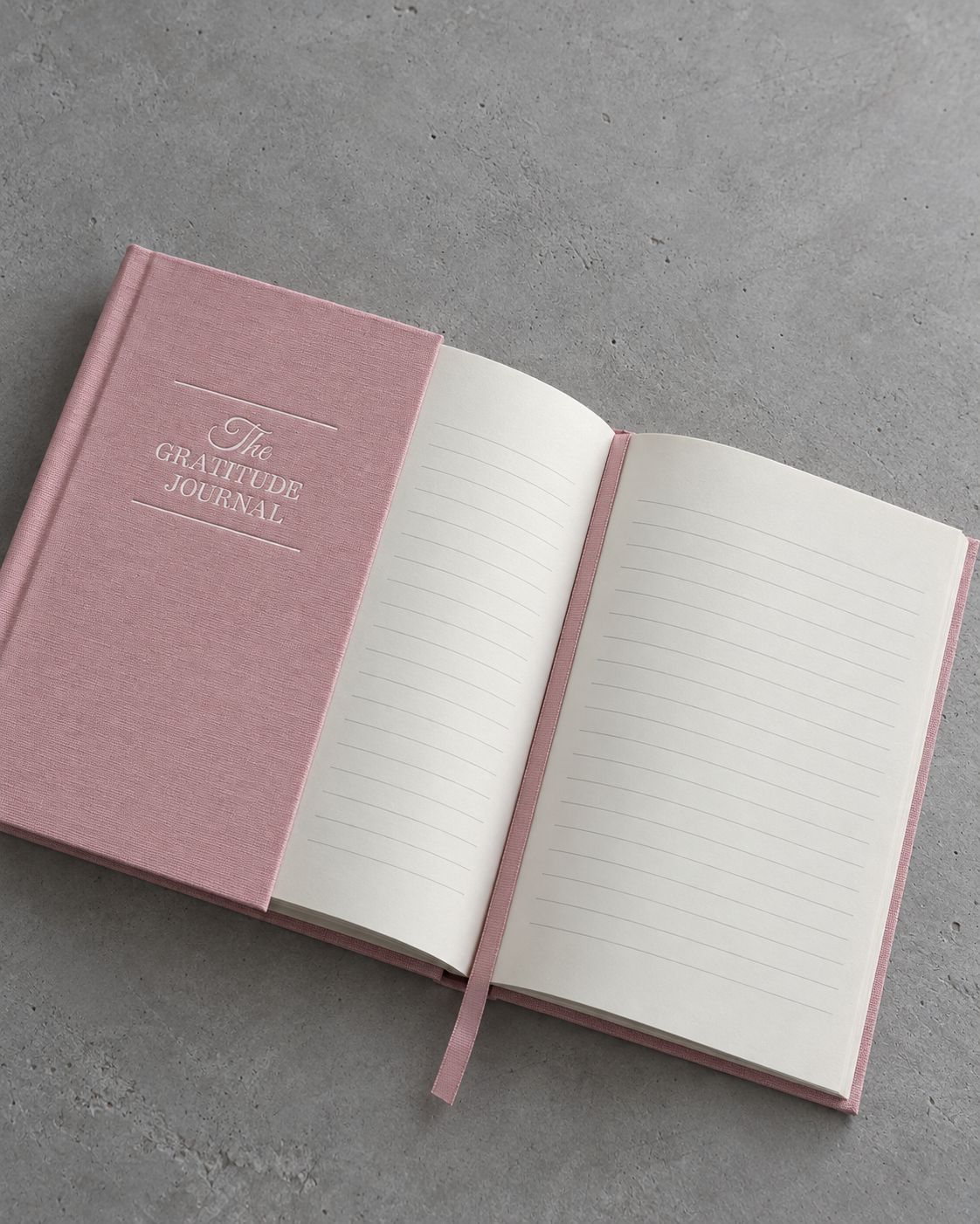 Gratitude and Prayer Journal open page view